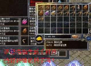 ���ǵõ������ִ���������è��������