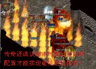 ���滹����ű���DB����������ò���ʵ�������Ϸ���飿