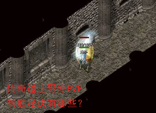 �����ʿҰ��PVP��ʤ�ؾ�����Щ��