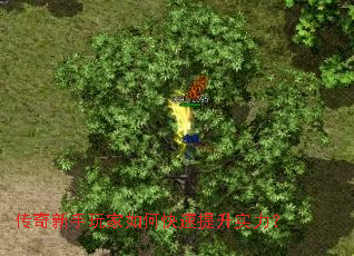 �������������ο�������ʵ����