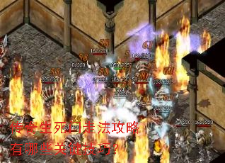 �����������߷���������Щ�ؼ����ɣ�