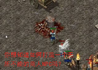 ����֪����δ���һ���������ܵ�����NPC��