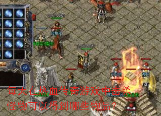 ÿ������Ѫ������Ϸ�л�ɱ������Եõ���Щ��Ʒ��