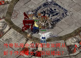 ����˽���з�ʦְҵ��δ����ֿ��ٳɳ�Ϊ���������