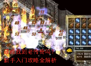 �����ҵ��ϴ������������Ź���ȫ����