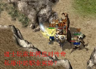 ��ʿ������Ӧ�Դ���˽���е�ְҵ���ƣ�