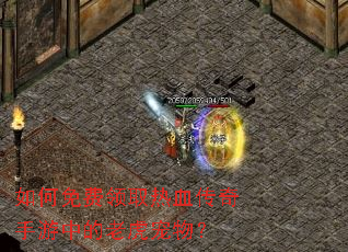 如何免费领取热血传奇手游中的老虎宠物? 如何免费领取热血传奇手游中的老虎宠物?