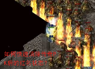 ��ο�����������PK��ĺ���״̬��