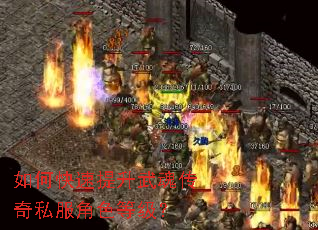 如何快速提升武魂传奇私服角色等级? 如何快速提升武魂传奇私服角色等级?