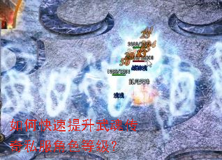 如何快速提升武魂传奇私服角色等级? 如何快速提升武魂传奇私服角色等级?