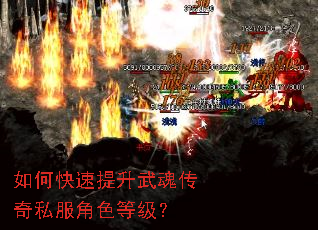 如何快速提升武魂传奇私服角色等级? 如何快速提升武魂传奇私服角色等级?