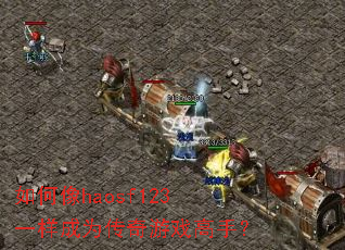 �����haosf123һ����Ϊ������Ϸ���֣�