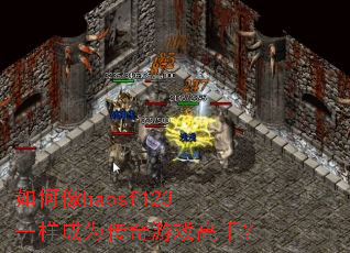 �����haosf123һ����Ϊ������Ϸ���֣�