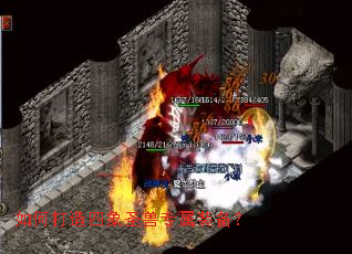 ��δ�������ʥ��ר��װ����