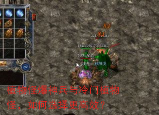 ֲ��ֱ����������ֲ��֣����ѡ�����Ч��