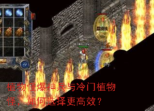 ֲ��ֱ����������ֲ��֣����ѡ�����Ч��