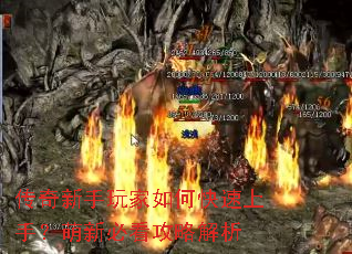 �������������ο������֣����±ؿ����Խ���