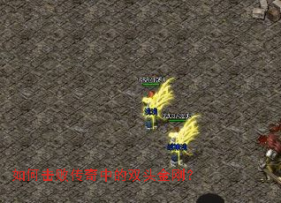 如何击败传奇中的双头金刚? 如何击败传奇中的双头金刚?