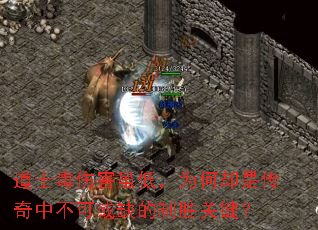 道士毒伤害虽低,为何却是传奇中不可或缺的制胜关键? 道士毒伤害虽低,为何却是传奇中不可或缺的制胜关键?