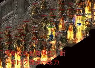 传奇菜鸟也有想法?新手如何快速提升战力 传奇菜鸟也有想法?新手如何快速提升战力