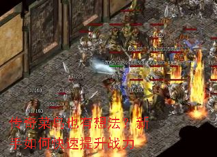 传奇菜鸟也有想法?新手如何快速提升战力 传奇菜鸟也有想法?新手如何快速提升战力