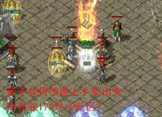 新手如何快速上手梁山传奇私服170月卡新区? 新手如何快速上手梁山传奇私服170月卡新区?