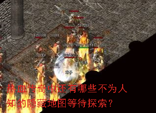 ��Ѫ�����л�����Щ��Ϊ��֪�����ص�ͼ�ȴ�̽����