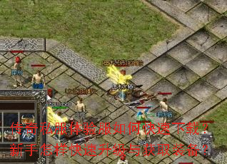 ����˽���������ο������أ��������������������ȡװ����