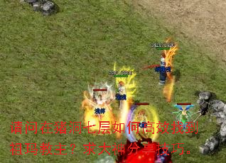 �����������߲���θ�Ч�ҵ���������������������ɡ�