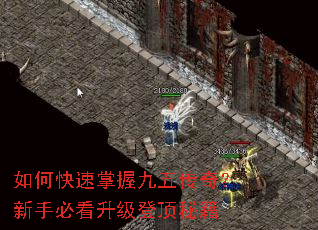 ��ο������վ��崫�棿���ֱؿ������Ƕ��ؼ�