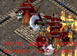 ����֮·���������أ���ι���˽��δ֪��ս������Ϊ��ָ���Խ�