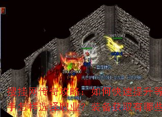 �ѹ������湥�ԣ���ο��������ȼ�����������ѡ��ְҵ��װ����ȡ����Щ���ɣ�