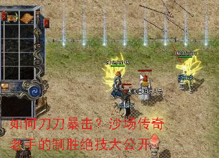 ��ε���������ɳ���������ֵ���ʤ�����󹫿�