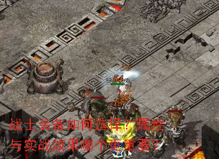 սʿװ�����ѡ��������ʵսЧ���ĸ�����Ҫ��