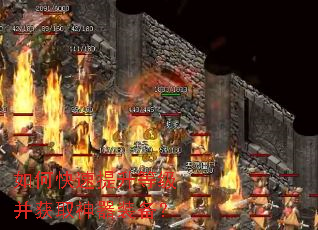 ��ο��������ȼ�����ȡ����װ����