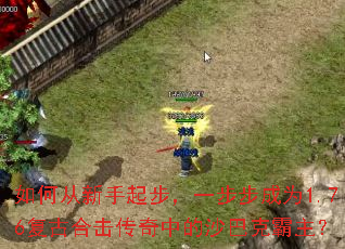 ��δ������𲽣�һ������Ϊ1.76���źϻ������е�ɳ�Ϳ˰�����