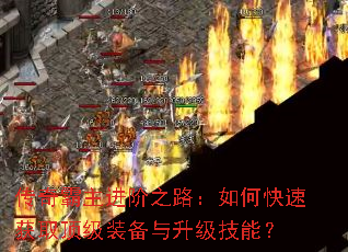 �����������֮·����ο��ٻ�ȡ����װ�����������ܣ�