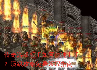 ������Ϸ������ο������֣��������������ȡָ��