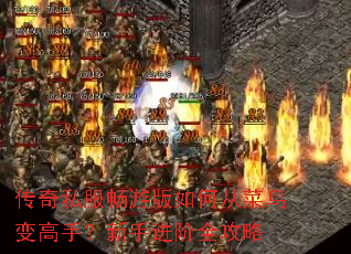 传奇私服畅游版如何从菜鸟变高手?新手进阶全攻略 传奇私服畅游版如何从菜鸟变高手?新手进阶全攻略
