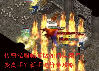 传奇私服畅游版如何从菜鸟变高手?新手进阶全攻略 传奇私服畅游版如何从菜鸟变高手?新手进阶全攻略
