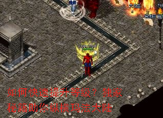 如何快速提升等级?独家秘籍助你纵横玛法大陆 如何快速提升等级?独家秘籍助你纵横玛法大陆