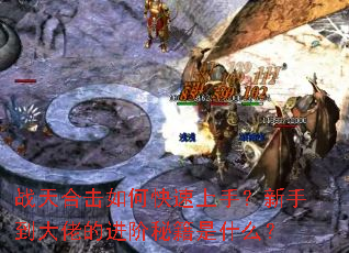 ս��ϻ���ο������֣����ֵ����еĽ����ؼ���ʲô��