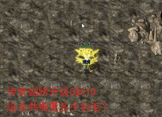 ����������0��10���ܹ���Ҫ������ë��