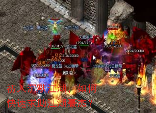 �����Ĭ��������ο��������������ܣ�