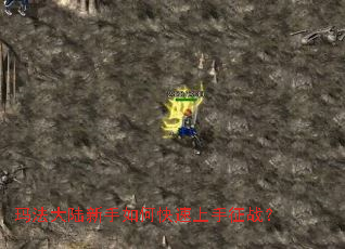 �귨��½������ο���������ս��