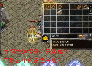 ��ο�����������Ӣ�۴���˽���еĽ�ɫ�ȼ���