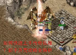 ��ο������ִ���˽�������ֿ��Ĺ���ȫ����