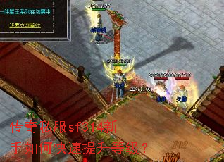 ����˽��sf314������ο��������ȼ���