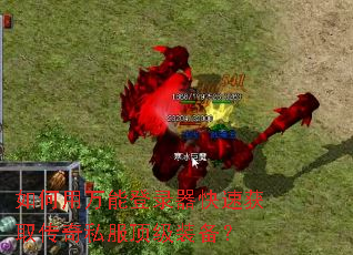 ��������ܵ�¼�����ٻ�ȡ����˽������װ����