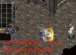 ��ο��ٻ��۽�ң���Ϊ��ְҵ�����е���Ϸ������